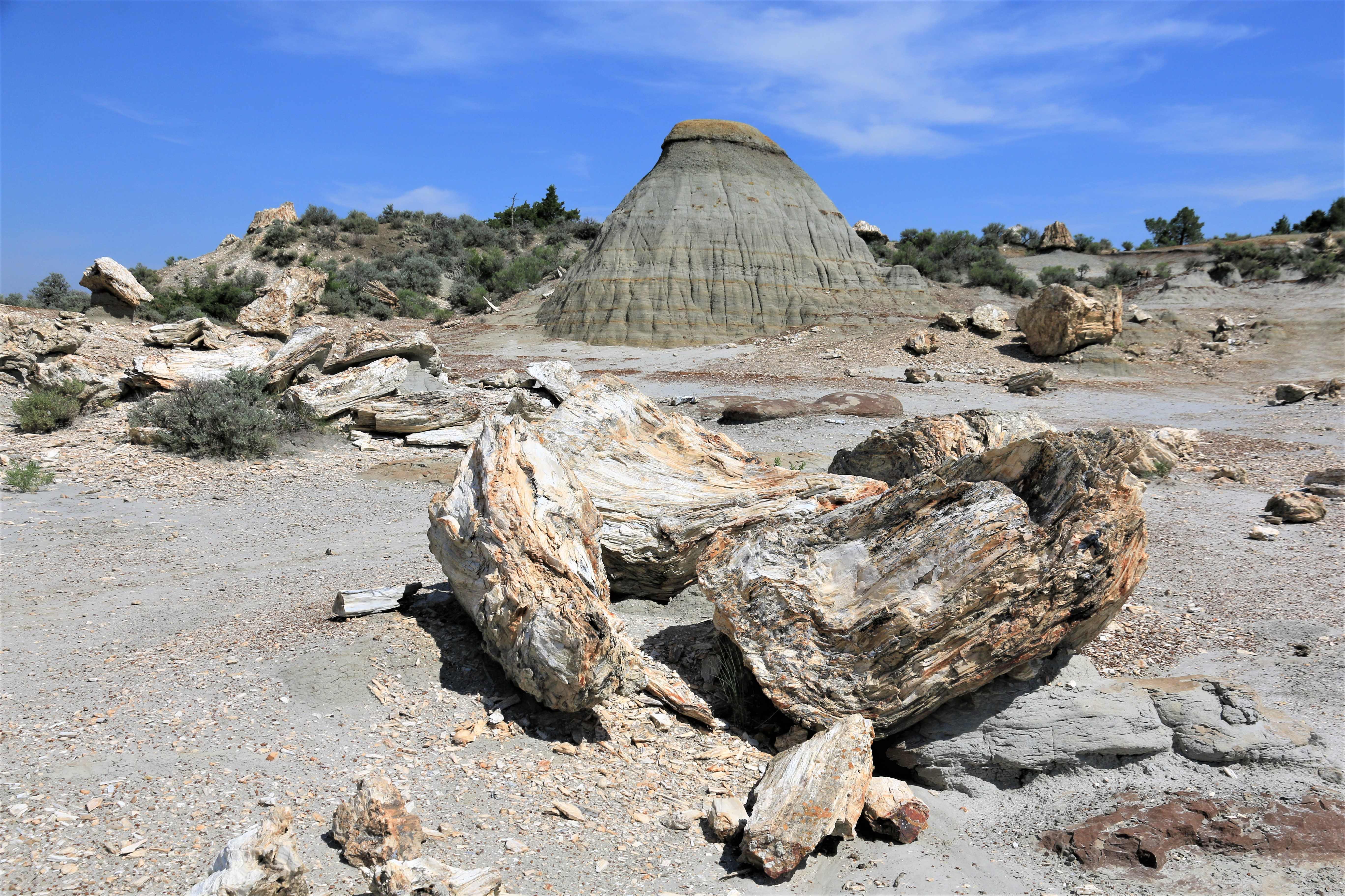 Theodore Roosevelt NP